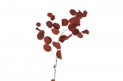 ������� ����� APPLE LEAF 30 HEADS 90CM AUTUMN
