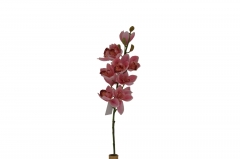 TEXNHTO ����� GRANDIFLORA 70CM PINK
