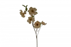 ������� ����� WILD PEONY 80CM SALMON PINK