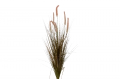 TEXNHTO BUSH PUPPY TAIL GRASS 100CM PINK