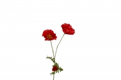 ������� ����� POPPY H.74 D.9CM RED