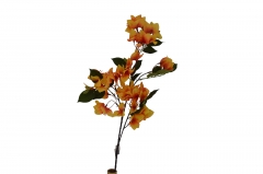 ������� ����� BOUGAINVILLEA 78cm/42 ����������� ORANGE