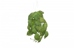 ������� BUSH PHILO. HANGING 26CM GREEN