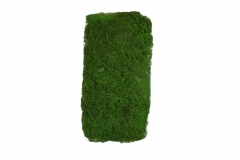 ������ ������� BULK MOSS 1kg NATURAL GREEN