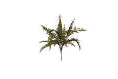 ������� BUSH SOFT FERN 68CM AUTUMN