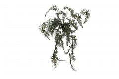 ������� BUSH HANGING FERN*6 93CM GRAY