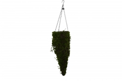 �����  ������� GRASS 60CM