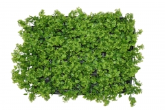 ������� �����(GREEN WALL) DANDELION GRASS 40*60CM GREEN