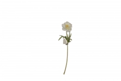������� ����� FAIRY POPPY 44CM WHITE