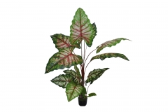 ������� ���� �� ����� TARO 170CM MULTICOLOR