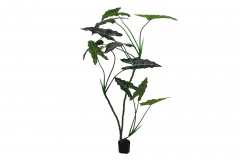 ������� ���� �� ����� TARO ������� ����� 210CM GREEN