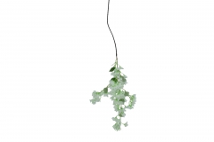 ������� ����� BOUGAINVILLEA SINGLE 110CM WHITE