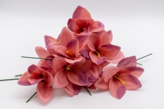 ������ S/12 ��������� PICK 10cm DUSTY PINK