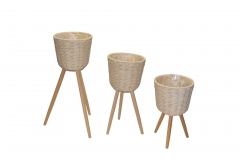 ����� �� ������ ����� 42/56/68CM S/3 ������