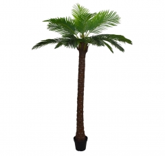 ������� ������ HAWAII PALM (3 ������) �� ������� 220CM