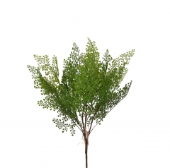 ������� BUSH DAVALLIA FERN 65CM DARK GREEN