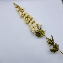 ������� ����� DREAM DELPHINIUM GOLDEN STEM 102CM CREAM