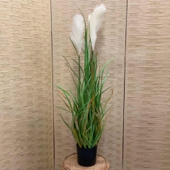 ������� ���� REED GRASS �� ����� 90CM GREEN