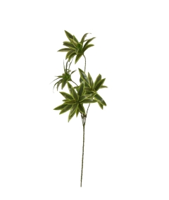 ������� ����� BRAZILIAN BAMBOO H.70CM GREEN