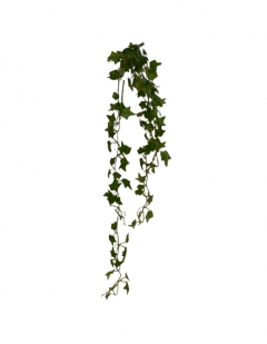 ������� BUSH GARLAND IVY 105CM GREEN