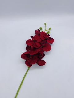 ������� ����� VELVET ORCHID H.73CM/D.9CM/7HEADS DARK RED