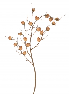 ������� ����� LANTERN FRUIT 90CM GRAY/BROWN