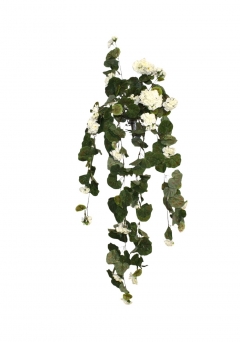 ������� BUSH HANGING BEGONIA 95CM WHITE