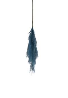 ������� PAMPAS ���������� 80CM EMERALD BLUE