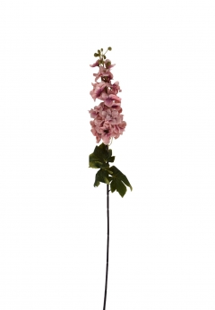 ������� ����� DELPHINIUM D.8CM, H.85CM DUSTY PINK