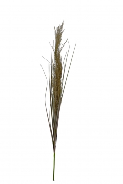 ������� SPRAY REED GRASS 86CM NATURAL