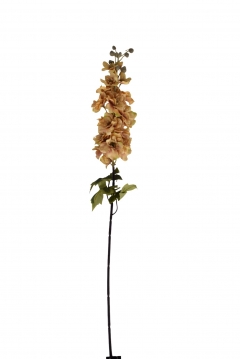 ������� ����� DELPHINIUM D.8CM, H.85CM BEIGE
