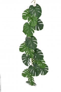 ������� �����/�������� MONSTERA 140CM DARK GREEN