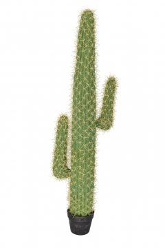 ������� ���� �� ����� ������ ��������� 130CM GREEN