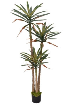 ������� ���� �� ����� DRACENA ����� ����� 180CM GRAY