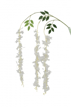 ������ S/12 ������� ����� JASMINE �������� 106CM WHITE