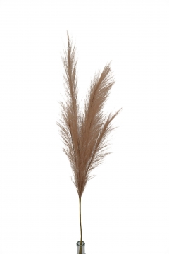 ������� PAMPAS ���������� 80CM BEIGE