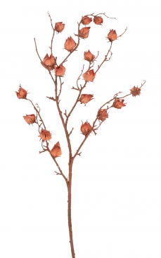 ������� ����� LANTERN FRUIT 90CM ORANGE/RED