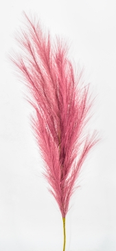 ������� PAMPAS ���������� 100CM DUSTY PINK
