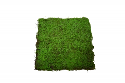 ΚΑΘΕΤΟΣ ΚΗΠΟΣ(GREEN WALL) TWIG MOSS 100*100CM NATURAL GREEN