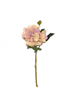 ������� ����� HYDRANGEA CURLES H.44CM AUTUMN