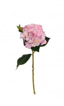 ������� ����� HYDRANGEA CURLES H.44CM PINK