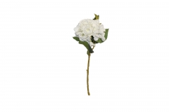 ������� ����� HYDRANGEA CURLES H.44CM WHITE