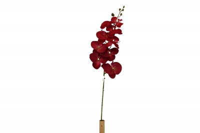 ΤΕΧΝΗΤΟ ΚΛΑΔΙ ΟΡΧΙΔΕΑ PHALAENOPSIS H.110CM RED