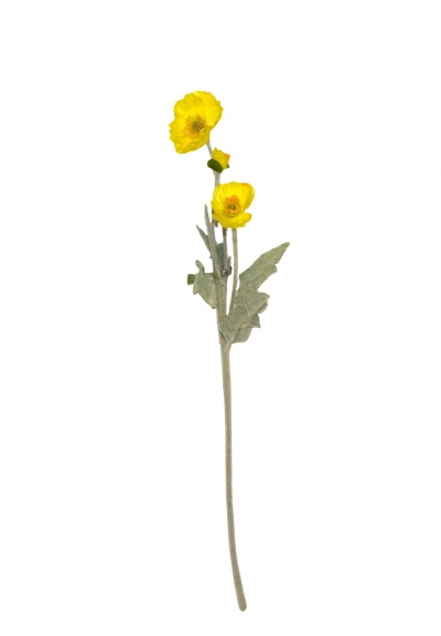 ΤΕΧΝΗΤΟ ΑΝΘΟΣ SMALL POPPY H.59CM YELLOW