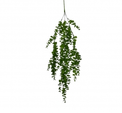 ������� BUSH HANGING EUCALYPTUS 70CM GREEN