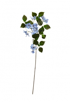 ������� ����� GREEN LEAVES BOUGAINVILLEA H.82CM LIGHT BLUE