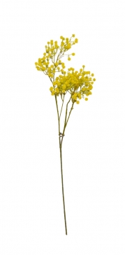 ������� ����� STEM BABY`S BREATH H.83CM YELLOW