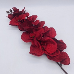 ������� ����� VELVET ORCHID H.102CM/D.13CM/11HEADS DARK RED
