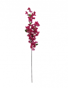 ������� ����� STEM BOUGAINVILLEA H.115CM 32 FORKS FUCHSIA