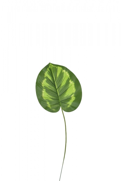 SET/12 ΤΕΧΝΗΤΟ ΦΥΛΛΟ PHILODENDRON 14.5*12.5CM GREEN/YELLOW